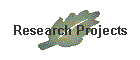 Research Projects